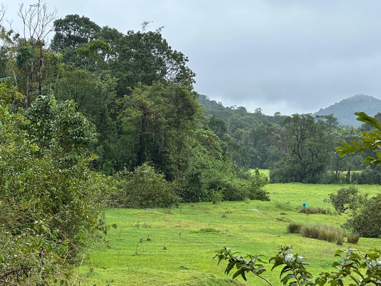 20 Gunta Land for Sale – Mudigere, Chikkamagaluru District